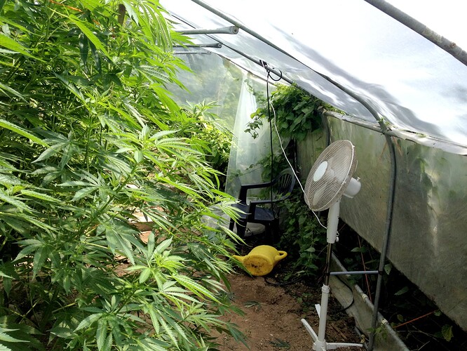 Growreport Bild 17