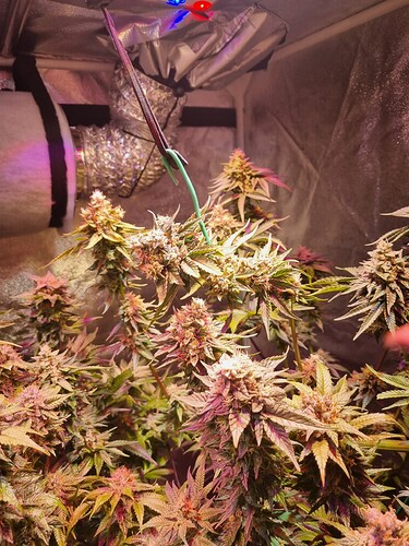 Growreport Bild 18