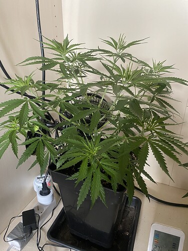 Growreport Bild 11