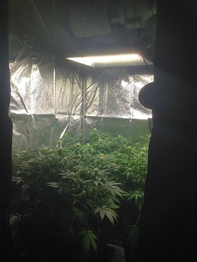 Growreport Bild 10