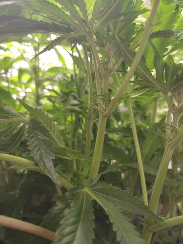 Growreport Bild 8