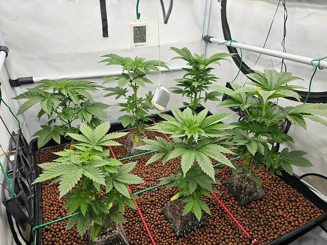Growreport Bild 10