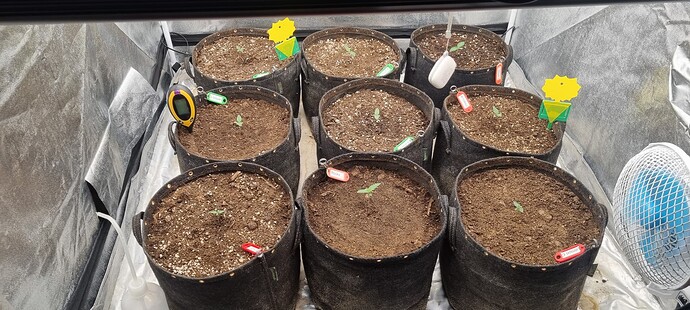 Growreport Bild 14