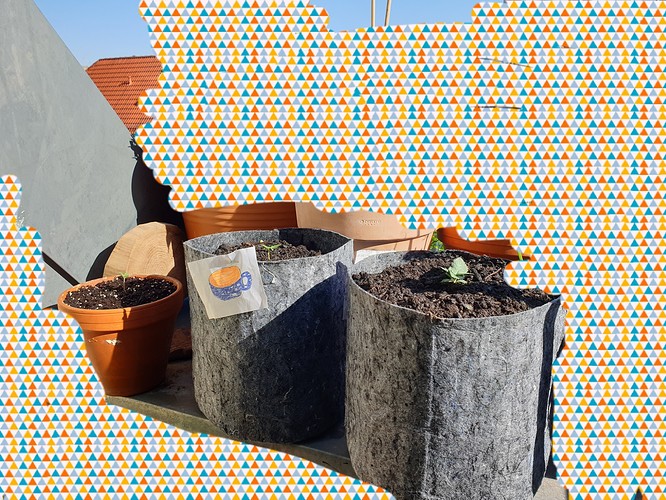 20210510_172823