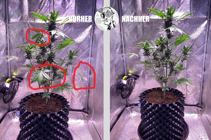Growreport Bild 16