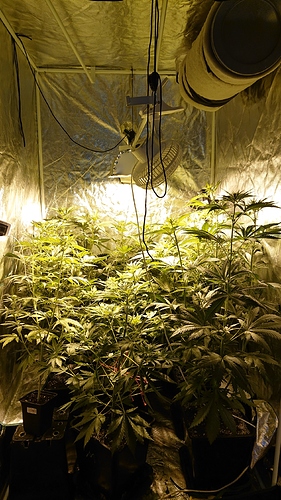 Growreport Bild 12