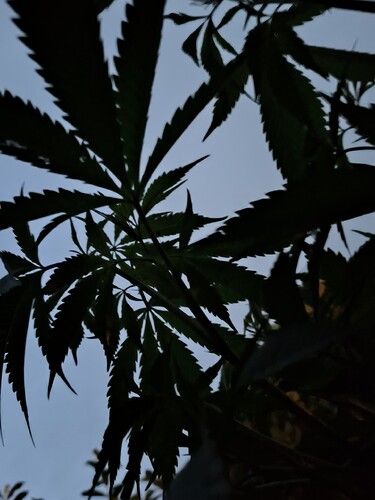 Growreport Bild 10