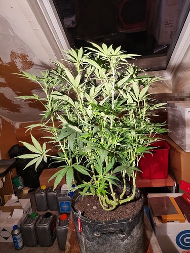 Growreport Bild 6