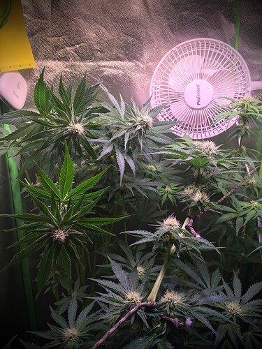 Growreport Bild 17