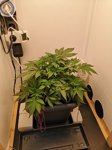 Growreport Bild 4