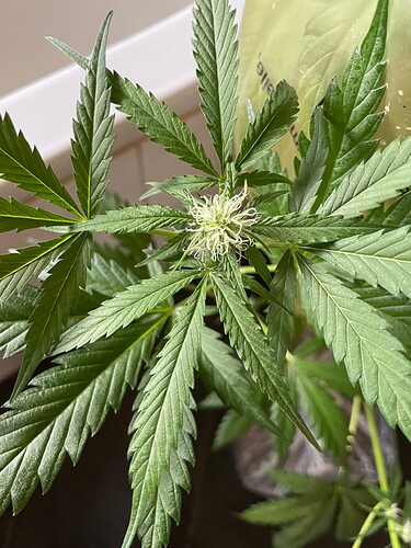 Growreport Bild 13