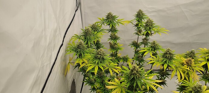 Growreport Bild 6