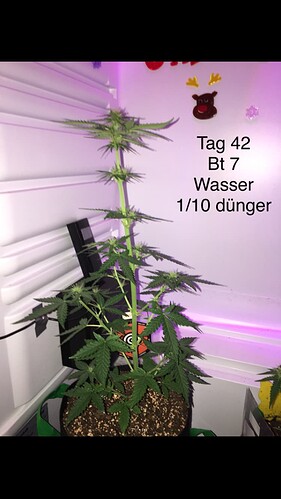 Growreport Bild 5
