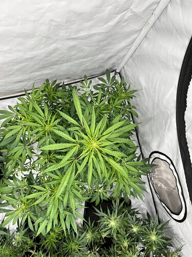 Growreport Bild 10