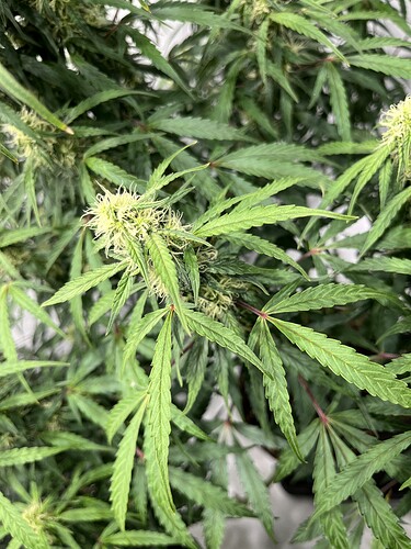 Growreport Bild 15