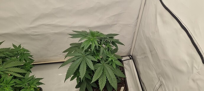 Growreport Bild 11