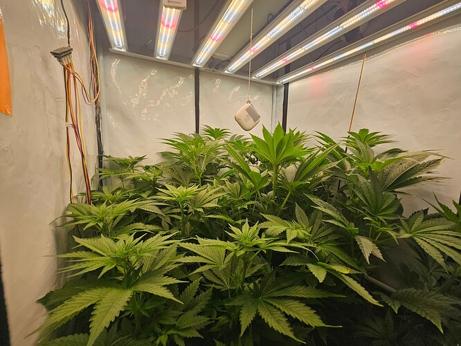 Growreport Bild 20