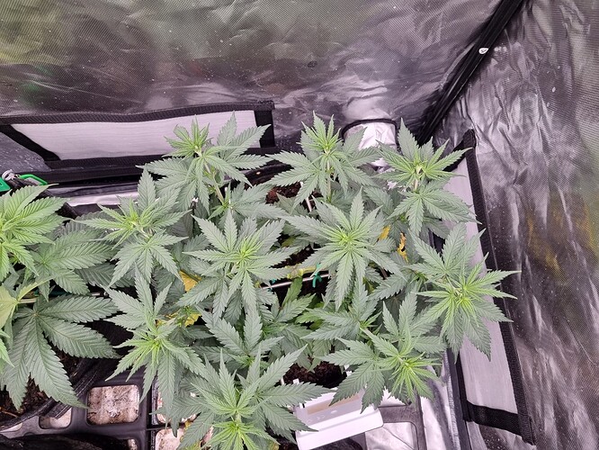 Growreport Bild 10