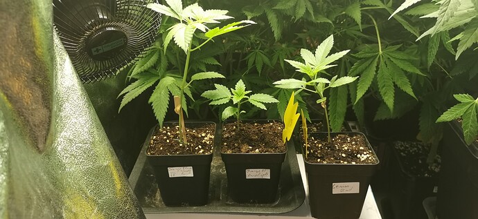 Growreport Bild 21