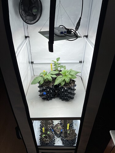 Growreport Bild 5