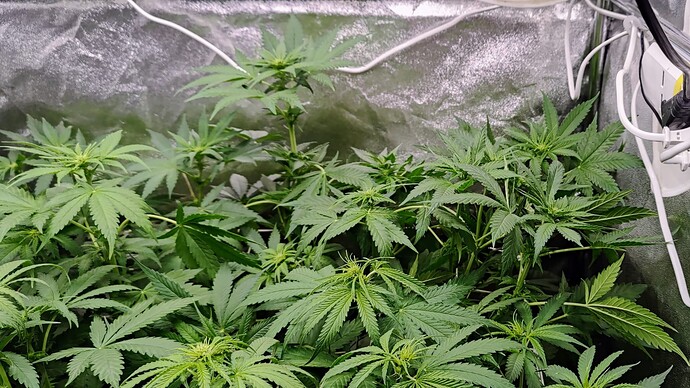 Growreport Bild 11