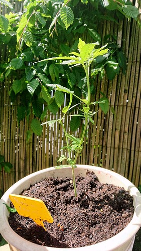 Growreport Bild 24