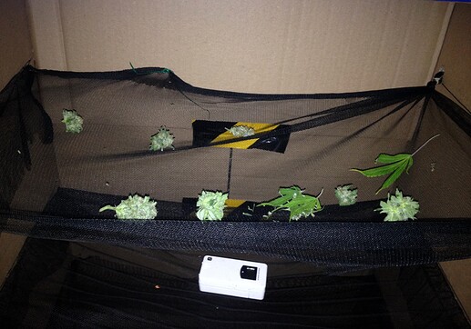 Growreport Bild 2