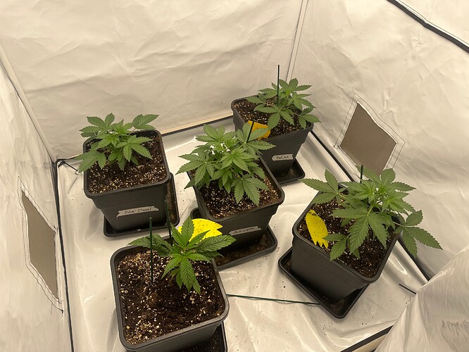 Growreport Bild 8