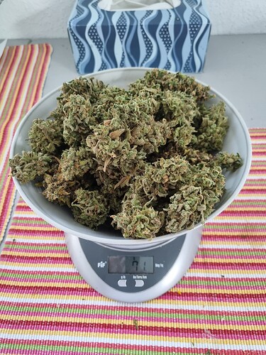 Growreport Bild 10