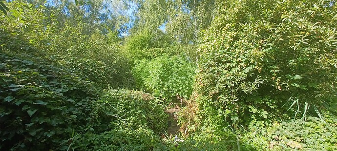 Growreport Bild 2