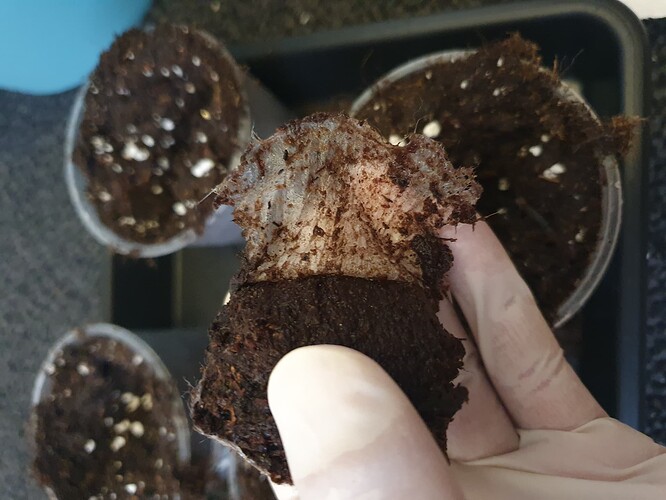 20231010_141528 - Kopie