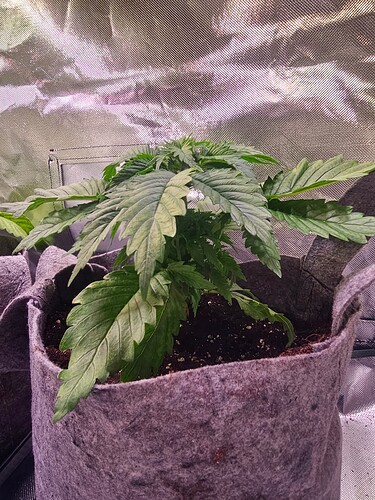 Growreport Bild 9