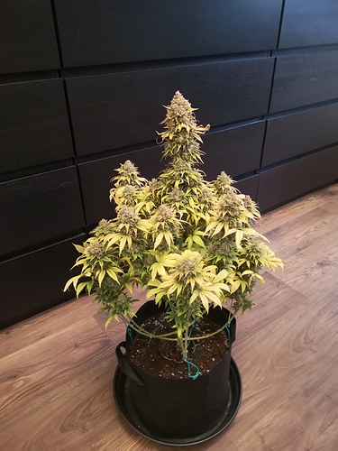 Growreport Bild 10