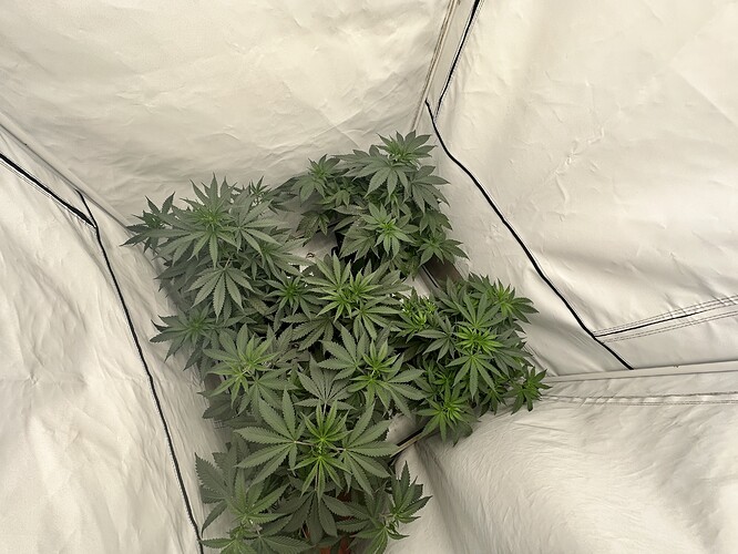 Growreport Bild 9