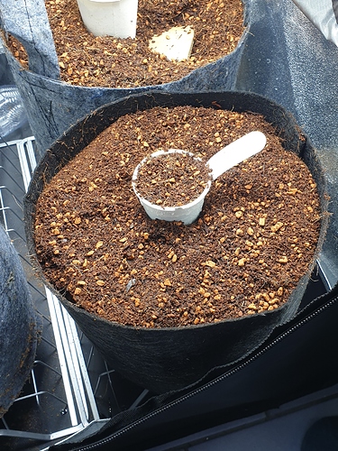 Growreport Bild 7