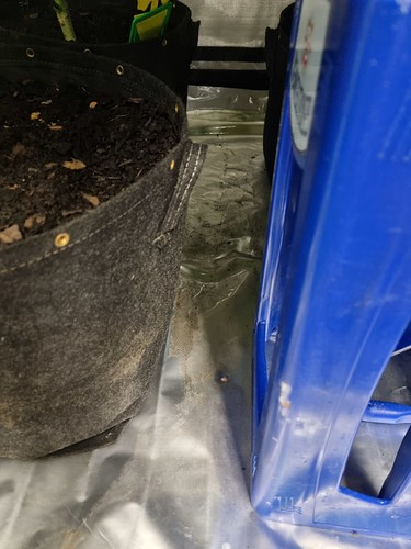 Growreport Bild 16