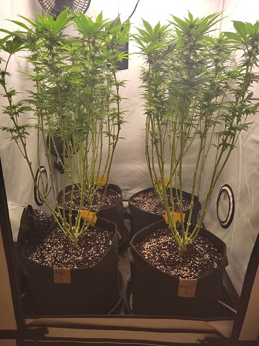 Growreport Bild 18