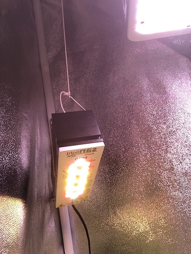 Growreport Bild 23