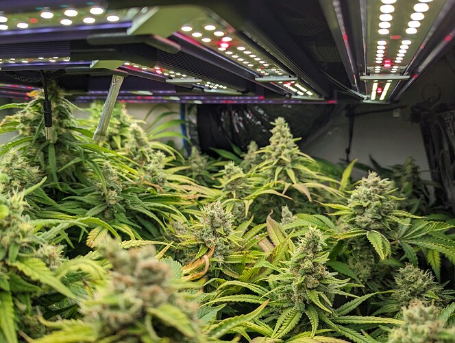 PXL_20230714_100553187