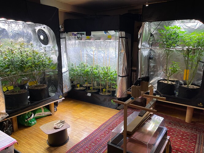 Growreport Bild 5