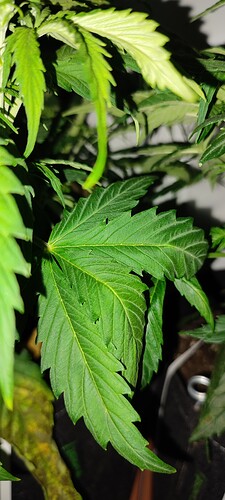 IMG_20221110_205239