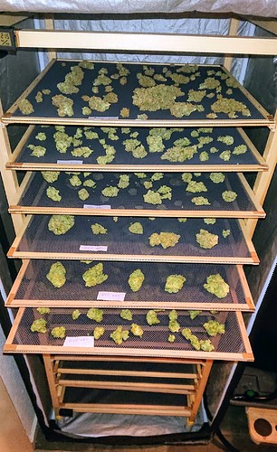 Growreport Bild 13