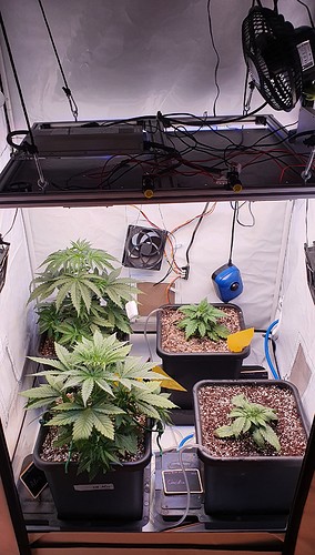 Growreport Bild 9