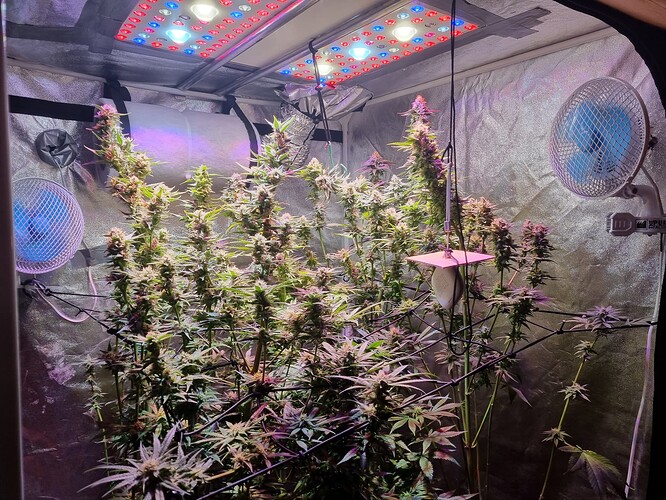 Growreport Bild 2