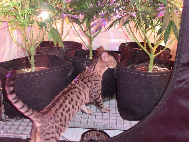 Growreport Bild 12