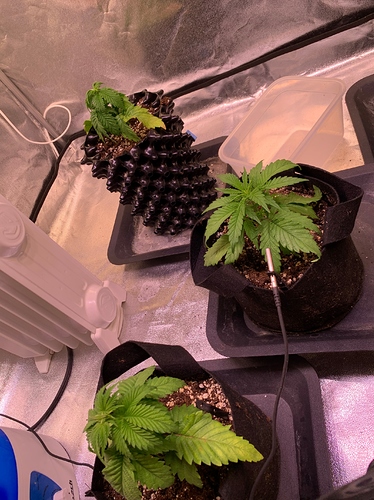 Growreport Bild 11