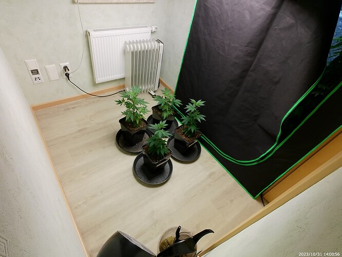 Growreport Bild 3