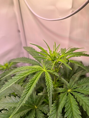 Growreport Bild 10
