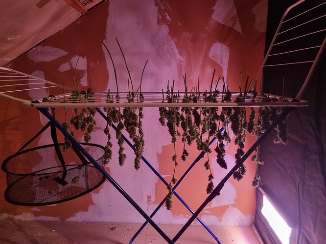 Growreport Bild 5