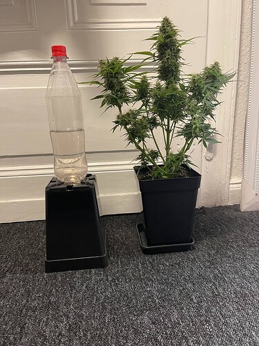 Growreport Bild 13